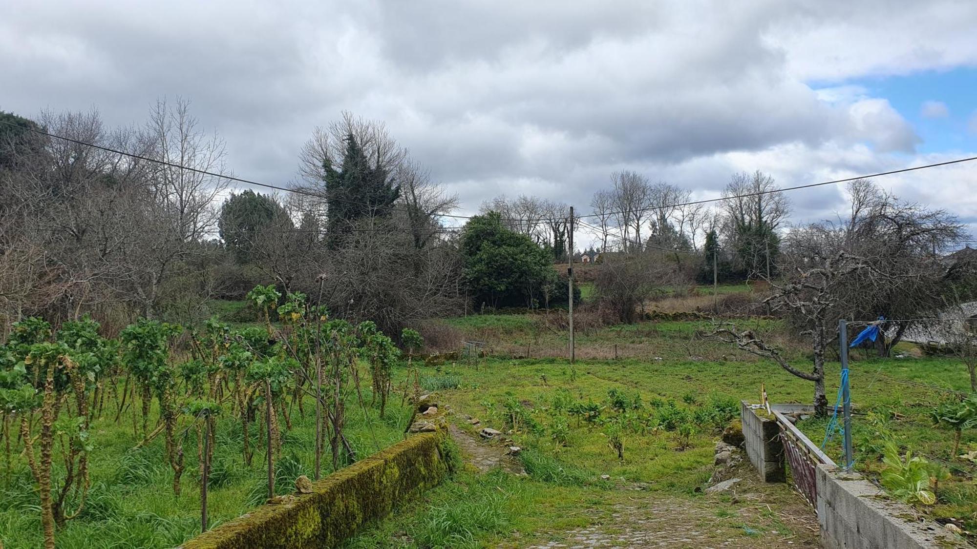 Apartamento T2 Zona Rural Vila Nova de Paiva Buitenkant foto