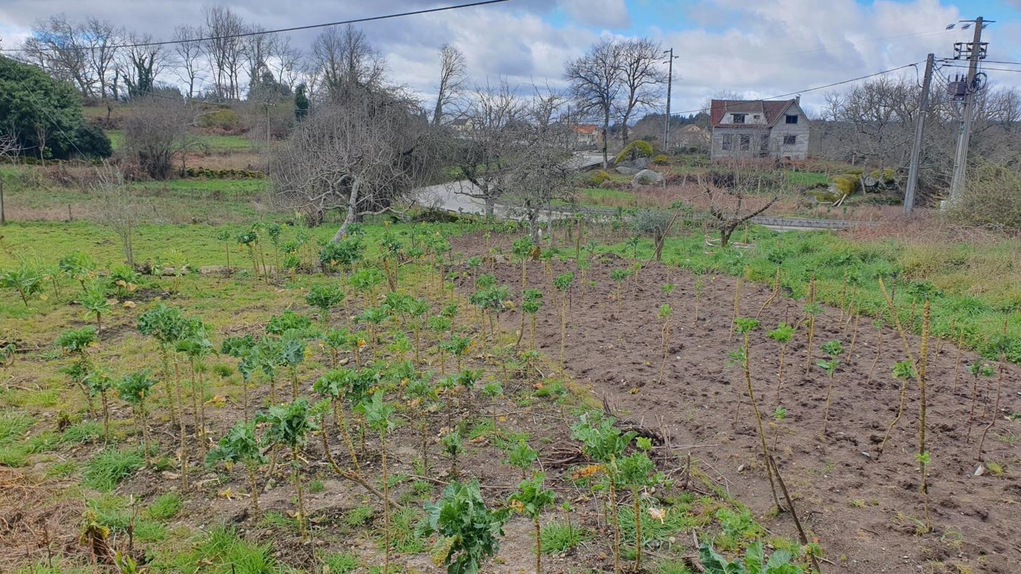 Apartamento T2 Zona Rural Vila Nova de Paiva Buitenkant foto